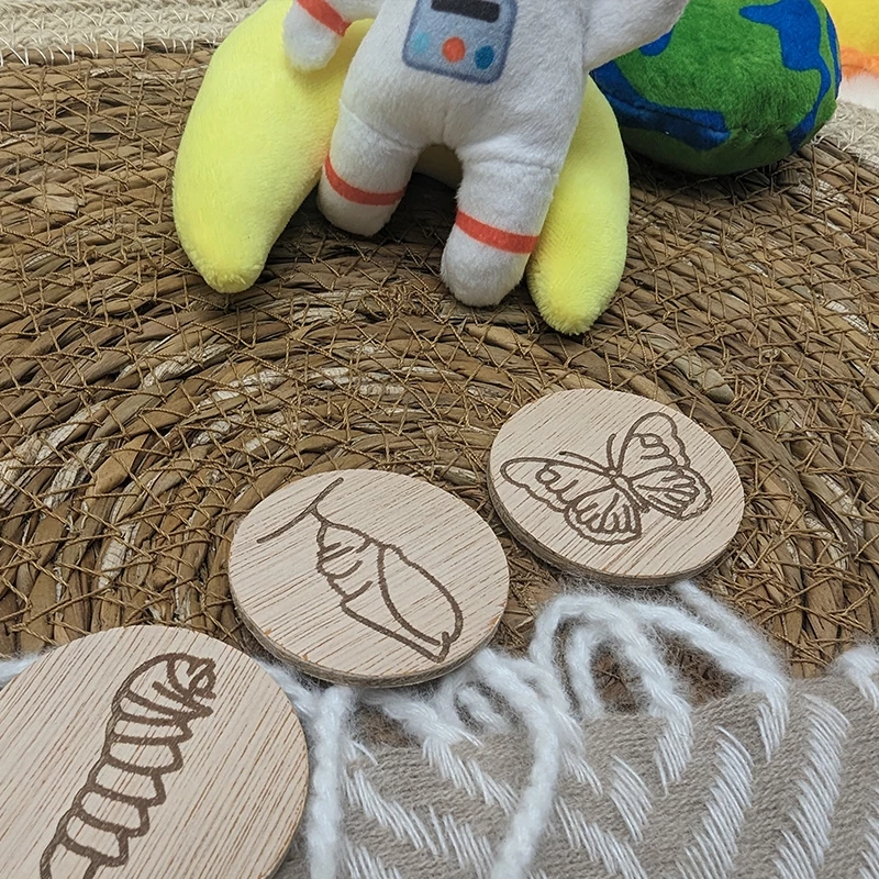 lots de 3 jetons évolution du papillon en bois